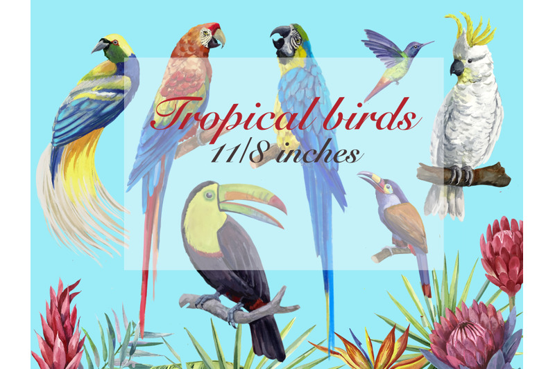 tropical-birds-and-tropical-plants