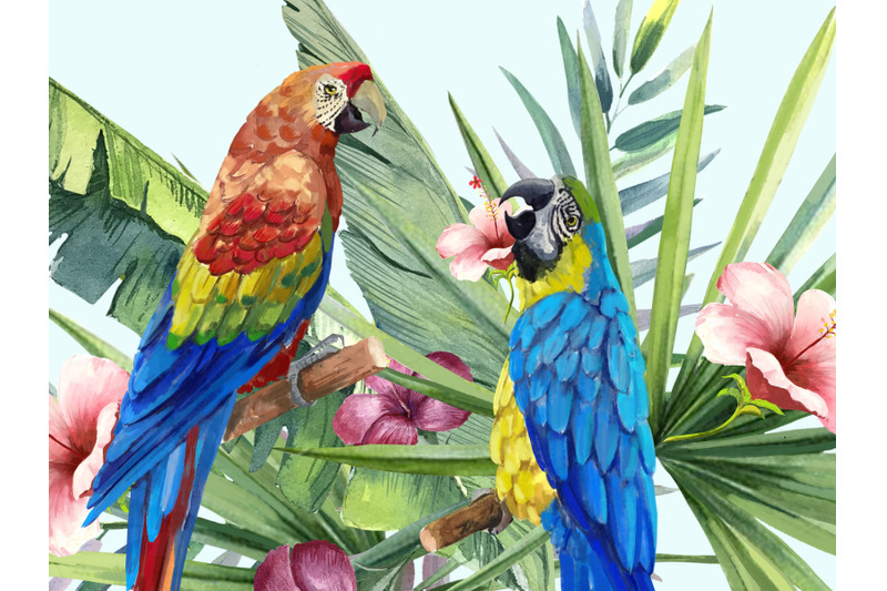 tropical-birds-and-tropical-plants