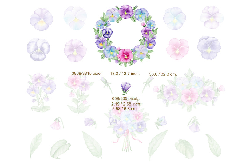 pansies-clipart-watercolour-violas-floral-elements-digital-bouquet