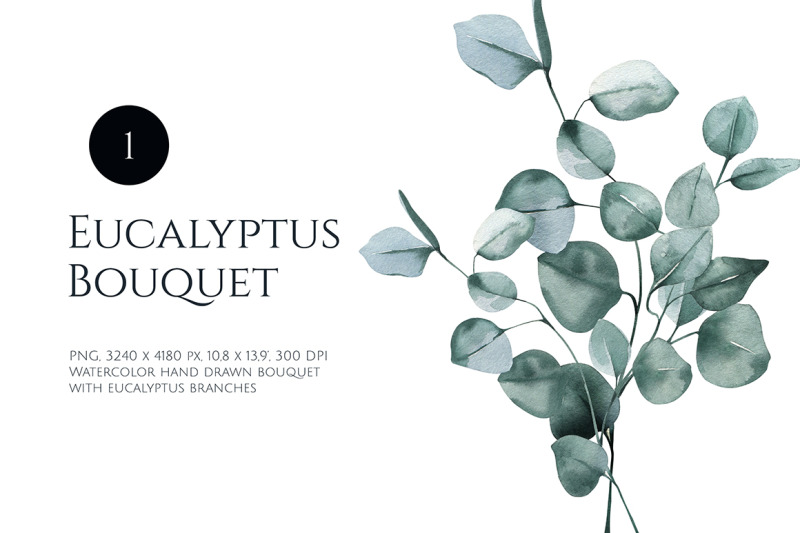 eucalyptus-watercolor-bouquet