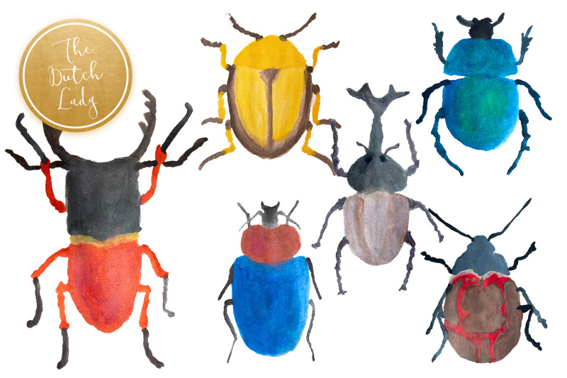 handpainted-insect-clipart-set