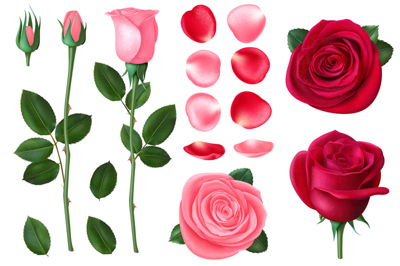 pink-and-red-rose-sweet-romantic-flowers-spring-and-summer-bouquet-w