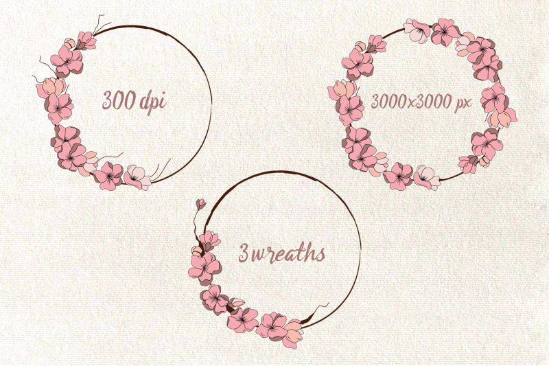 blossom-sakura-branch-and-wreaths-clipart-pink-flowers-png-floral