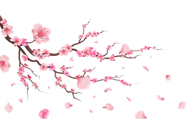 sakura-blossom-branch-falling-petals-flowers-isolated-flying-realis