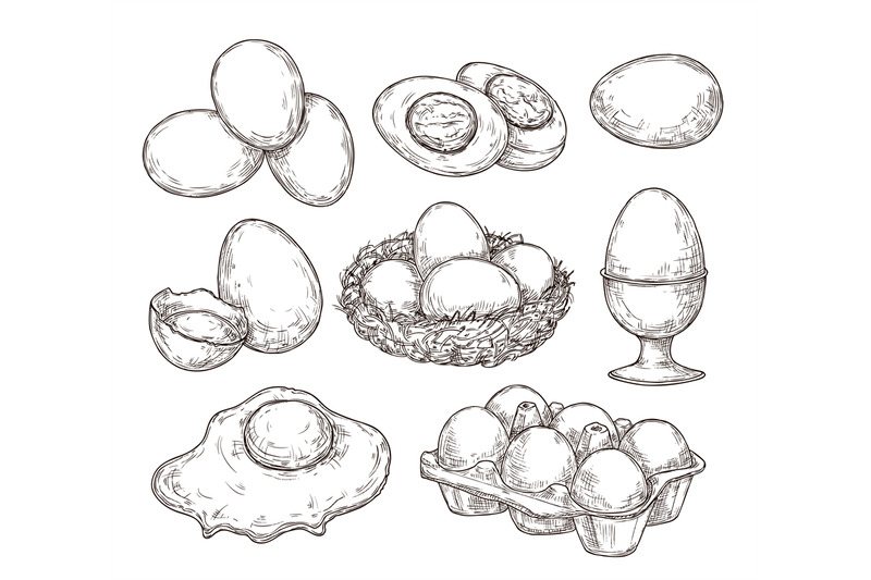eggs-sketch-vintage-natural-egg-broken-shell-hand-drawn-farming-foo