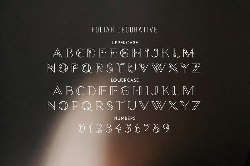 foliar-thin-line-logo-font