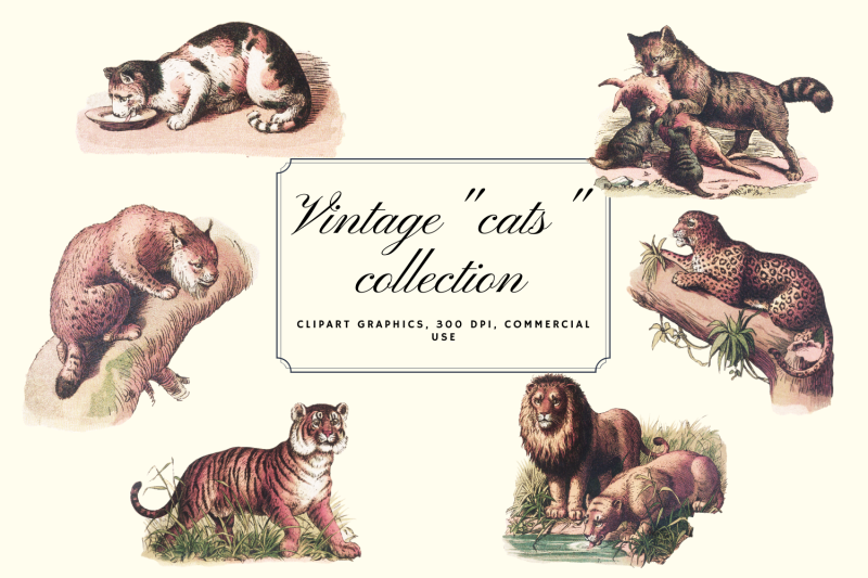 vintage-antique-cats-clip-art-graphics