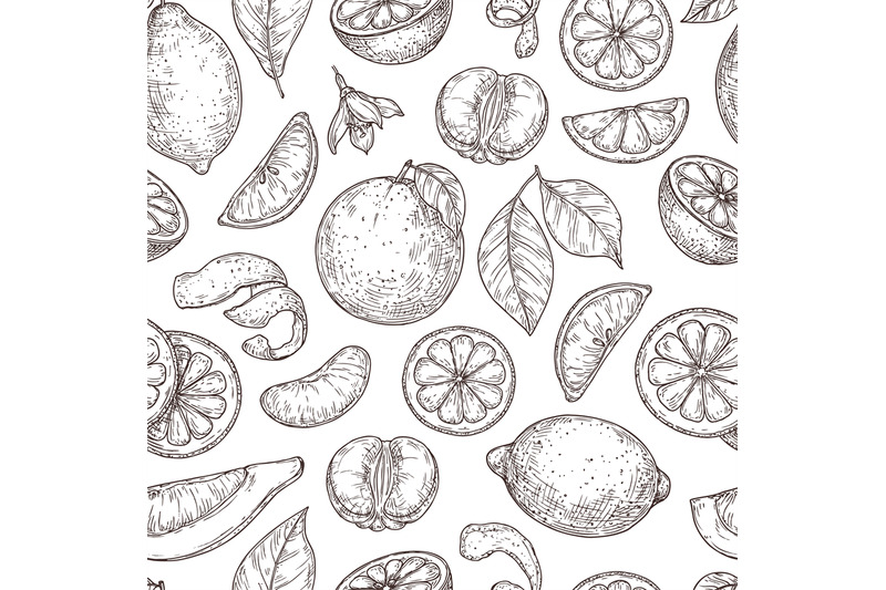 citrus-sketch-pattern-natural-lemon-orange-leaves-lime-fruits-backgr