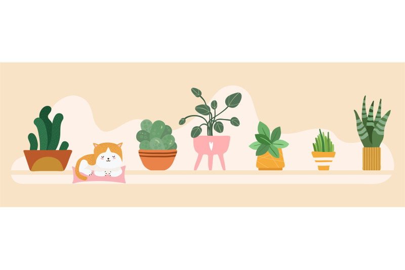 home-garden-banner-floral-pots-on-shelf-background-cute-cat-sleep-in