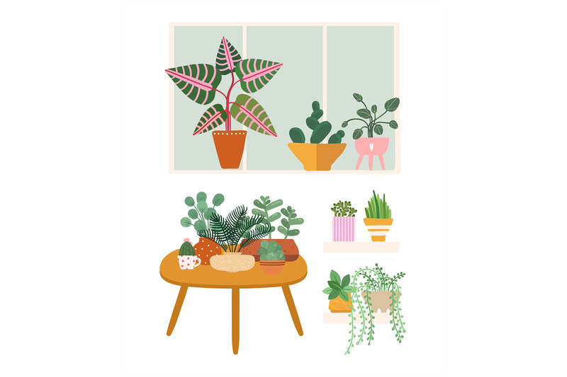 plants-at-home-garden-flower-pots-greens-stand-on-table-window-and
