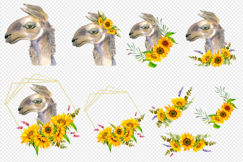 watercolor-portrait-of-lama-with-sunflowers-clipart