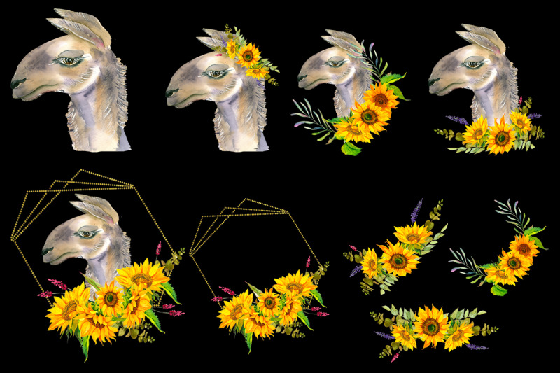 watercolor-portrait-of-lama-with-sunflowers-clipart