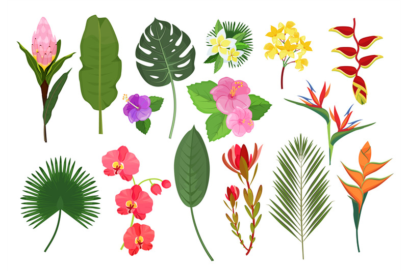 decorative-exotic-flowers-botanical-leaf-tropical-plants-bouquet-for