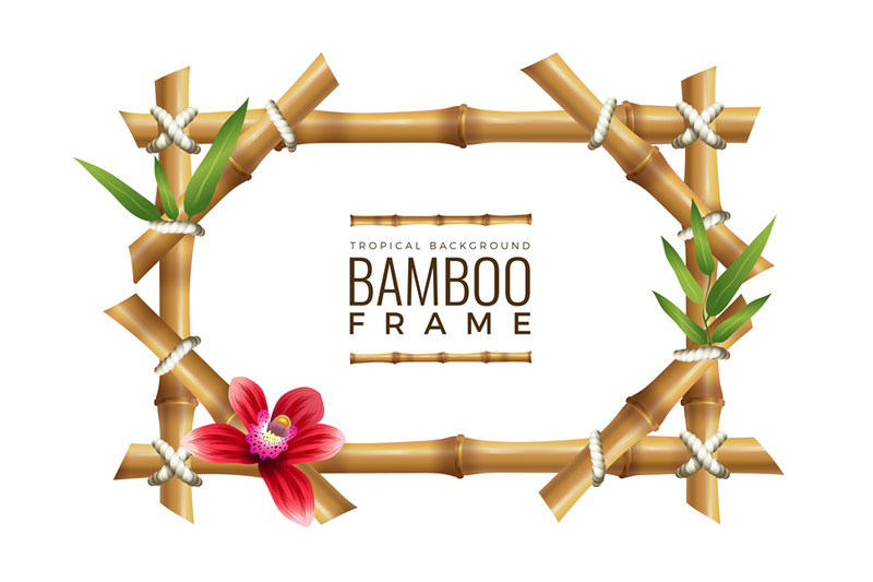 bamboo-frames-background-asian-nature-geometrical-frame-with-place-fo