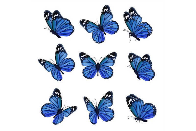 colored-butterflies-flying-beautiful-insects-wedding-butterfly-with-d