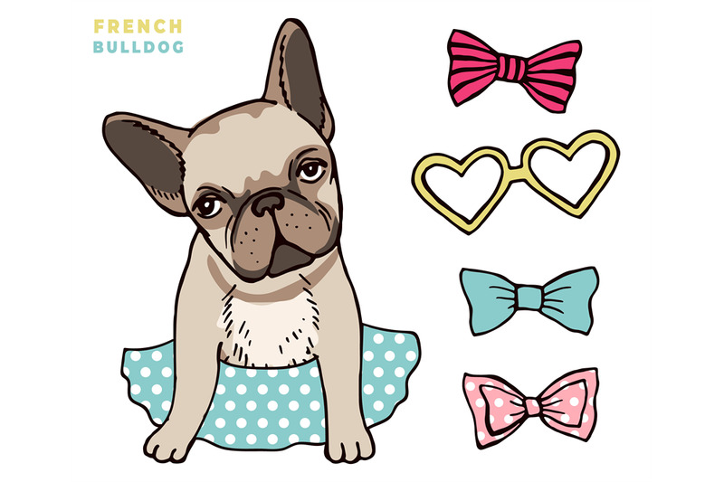 french-bulldog-cute-puppy-bulldog-with-accessorises-dress-up-your-do