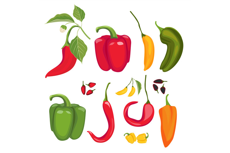 peppers-hot-spices-fresh-jalapeno-paprika-cayenne-vector-cartoon-red