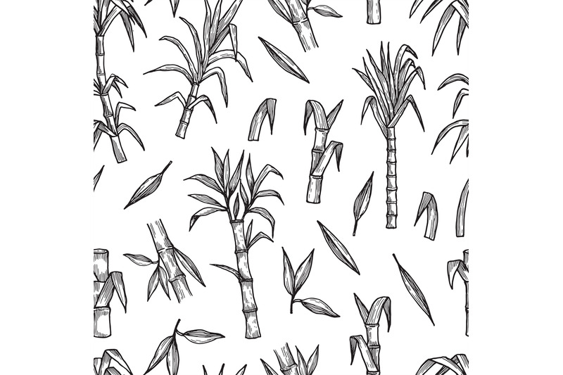 sugar-plant-seamless-pattern-hand-drawn-sugarcane-vector-background