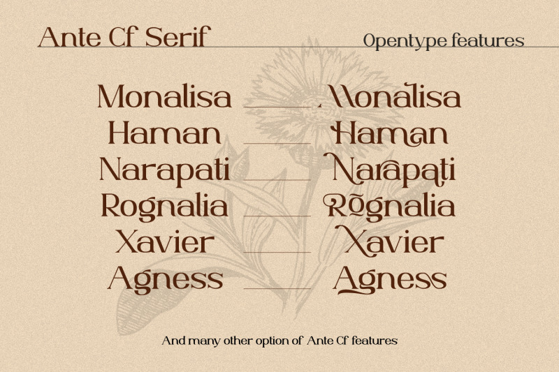 ante-cf-serif