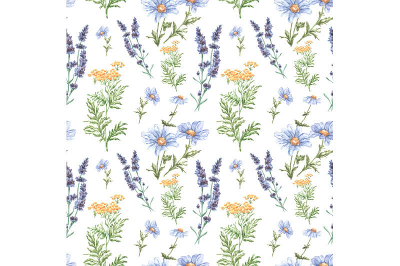 wildflowers-watercolor-seamless-pattern-chamomile-tansy-lavender