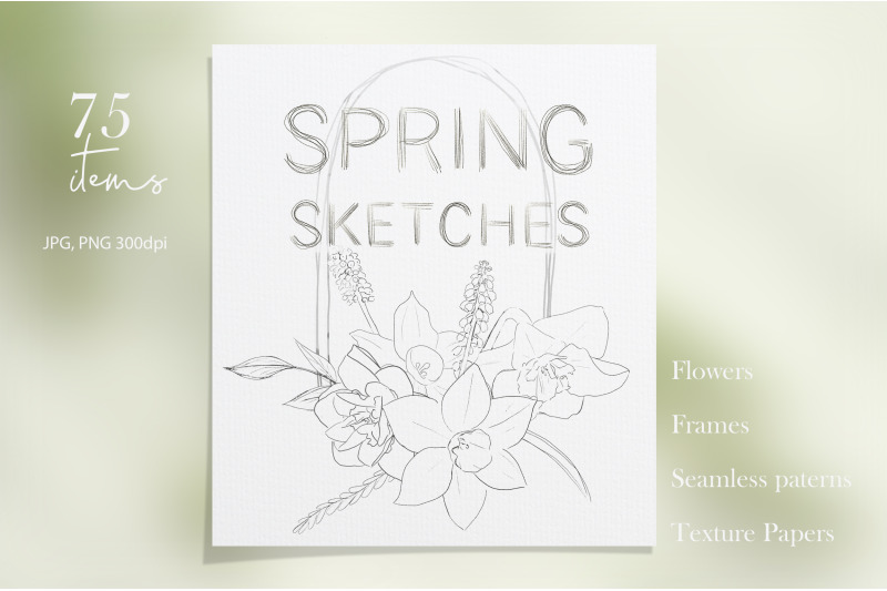 pencil-sketches-of-spring-flowers