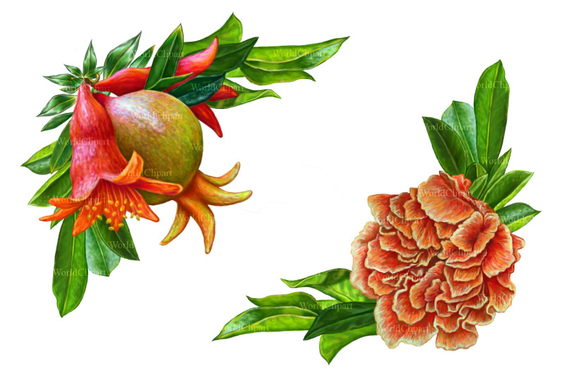 pomegranate-clipart-food-clipart-fruit-clipart-winemaking-clipart