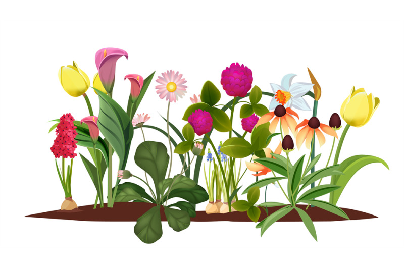 spring-flower-bed-garden-blossom-flowers-isolated-tulips-and-lily-v