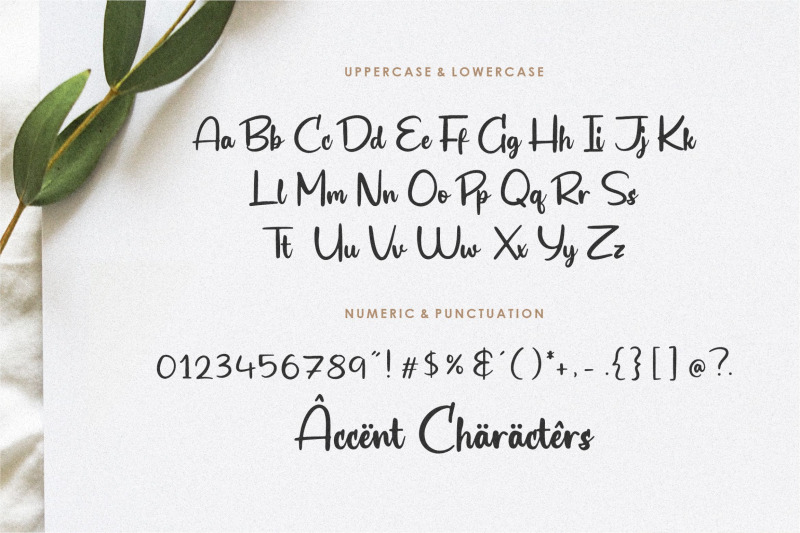 biograf-modern-handwritten-font