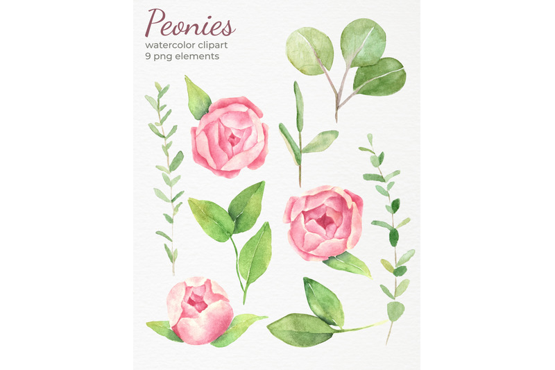 peonies-watercolor-clipart-pink-modern-floral-clip-art-blush-flowers