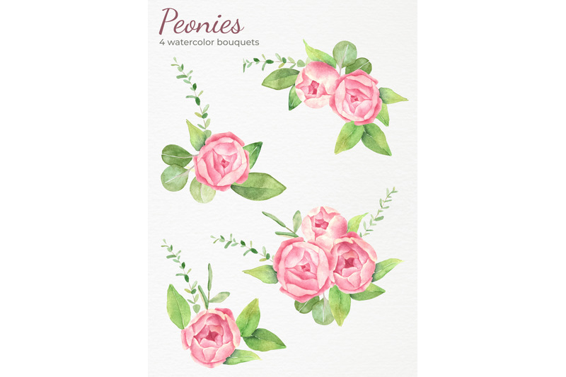 peonies-watercolor-clipart-pink-modern-floral-clip-art-blush-flowers