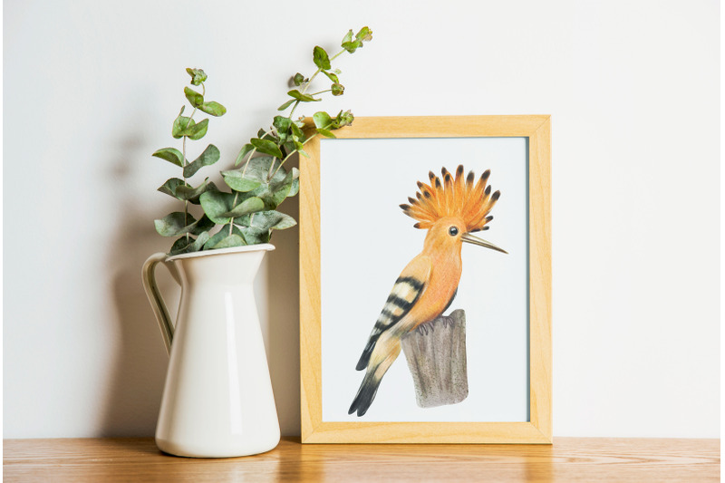 watercolor-birds-clipart-hand-painted-small-birds-png