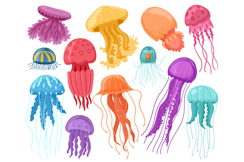 cartoon-ocean-jellyfish-marine-underwater-jellyfish-ocean-sea-transp