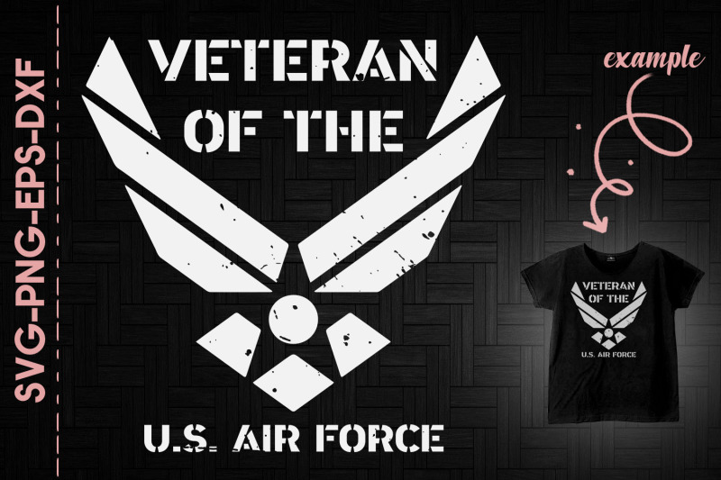 veteran-of-the-us-air-force-us-army
