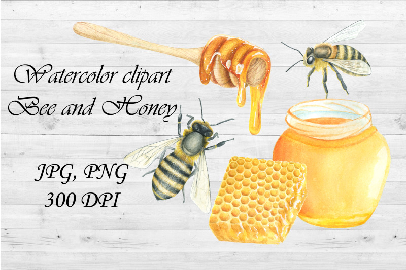 watercolor-clipart-bee-and-honey-honeycomb-hand-draw-png-jpg