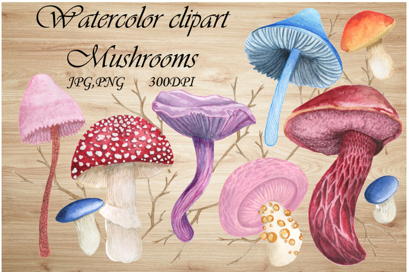 watercolor-clipart-exotic-mushrooms-rainforest-png-jpg