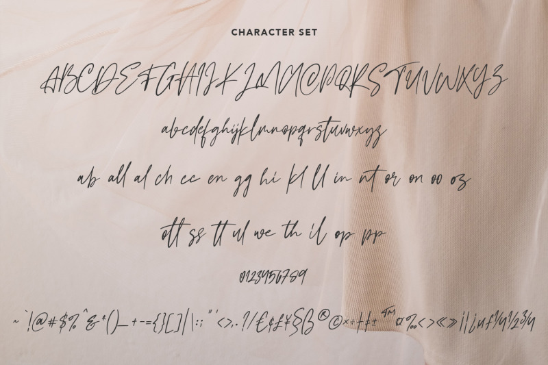 mylestock-signature-script-font