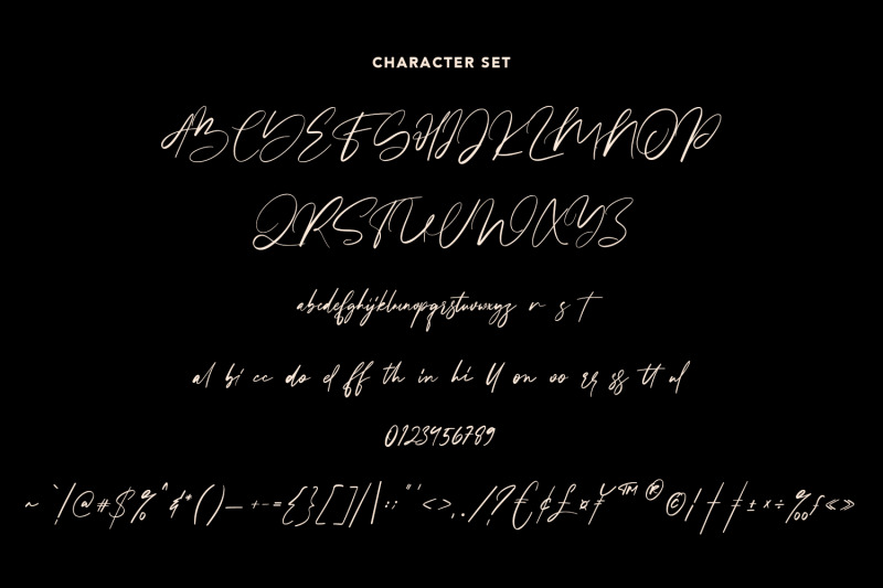 steffyray-signature-font