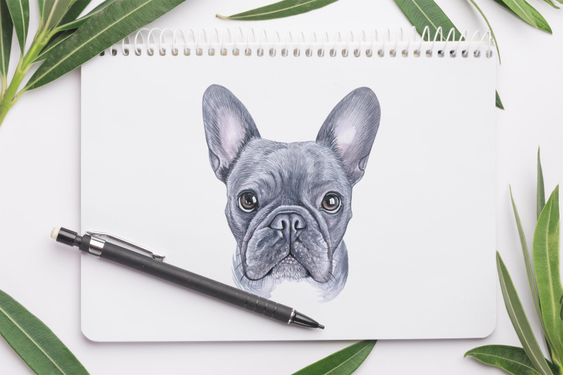 watercolor-dogs-illustrations-cute-6-dogs-small-set-french-bulldogs