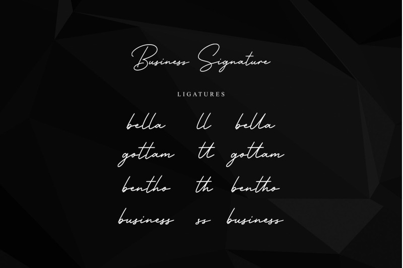 business-signature-elegant-script-font