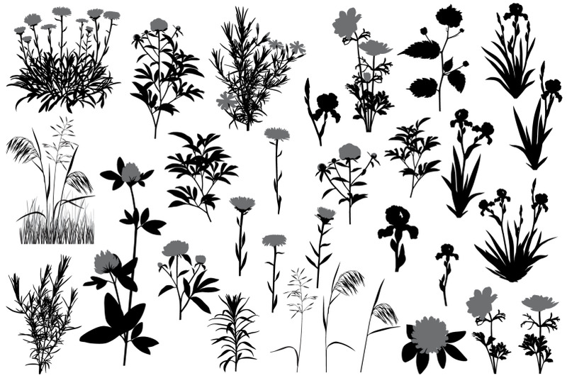 flowers-and-plants-silhouette