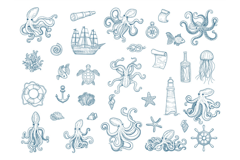 marine-illustrations-octopus-nautical-set-wild-squid-shells-monster-k