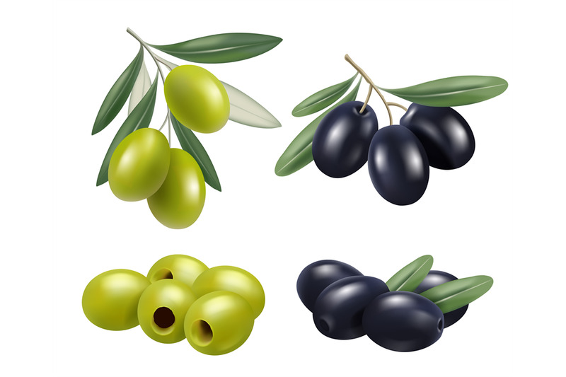 olive-realistic-greek-nature-food-olive-branches-relax-spa-oil-vector