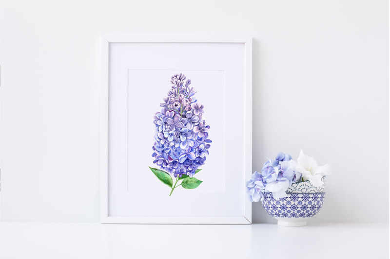 watercolor-lilac