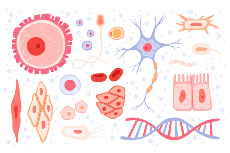 cells-collection-human-blood-structure-micro-types-of-anatomy-science