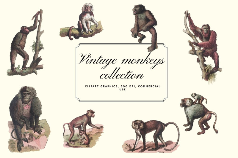 vintage-monkeys-clip-art-graphics-monkey-graphics