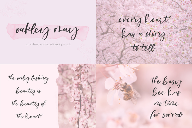 the-bounce-calligraphy-font-bundle