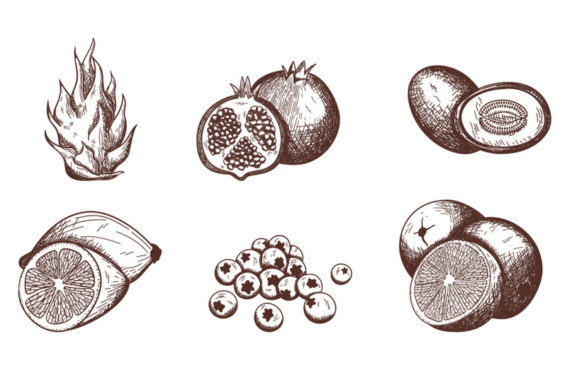 24-fruits-hand-drawn-sketch