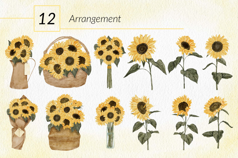 37-watercolor-sunflower-illustration-set