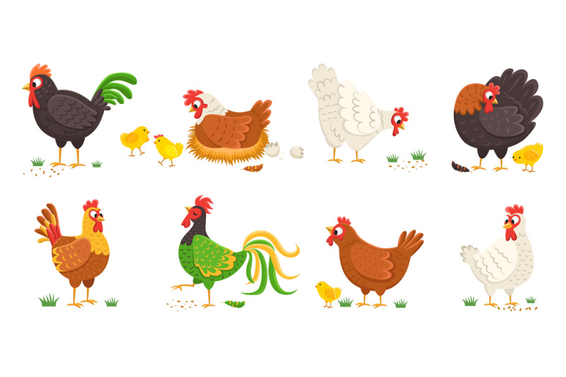 cartoon-domestic-chicken-funny-roosters-and-mother-hens-various-breed