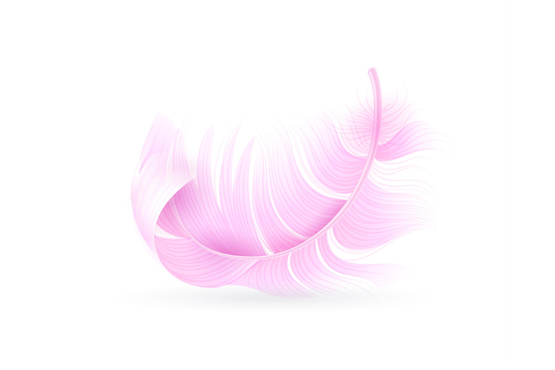 pink-feather-exotic-bird-flamingo-or-parrot-realistic-flying-fluff